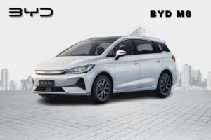 BYD M6